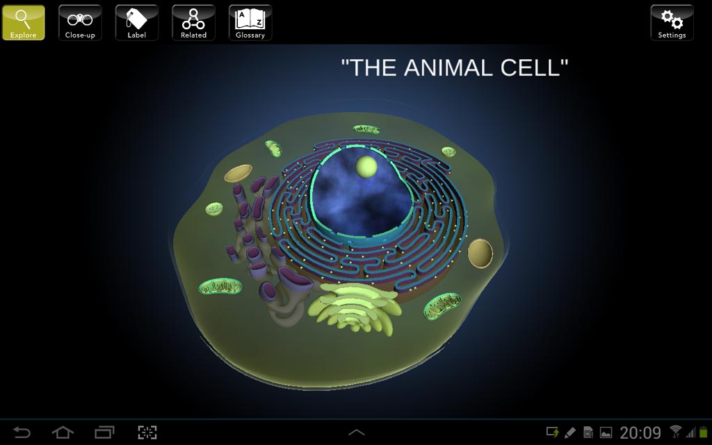 The Animal Cell - AppsByBrats - Augmented and Virtual Reality